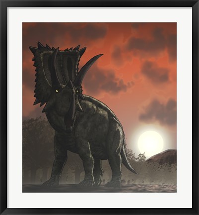 Framed Coahuilaceratops Walking through a Cretaceous Sunset Print