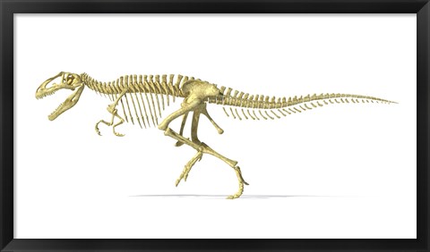 Framed 3D Rendering of a Giganotosaurus Dinosaur Skeleton Print