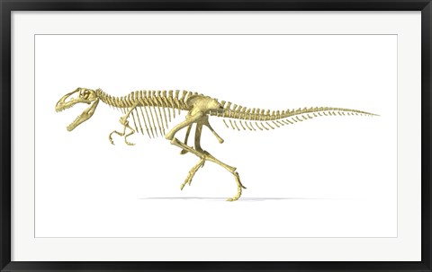 Framed 3D Rendering of a Giganotosaurus Dinosaur Skeleton Print