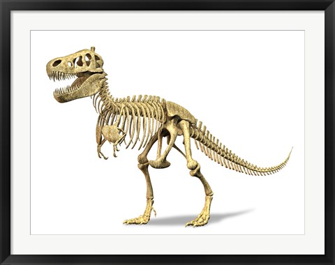 Framed 3D Rendering of a Tyrannosaurus Rex Dinosaur Skeleton Print