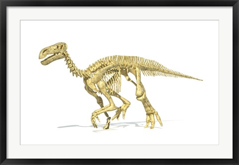 Framed 3D Rendering of an Lguanodon Dinosaur Skeleton Print