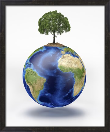 Framed Planet Earth with a Tree Growing on Top Print