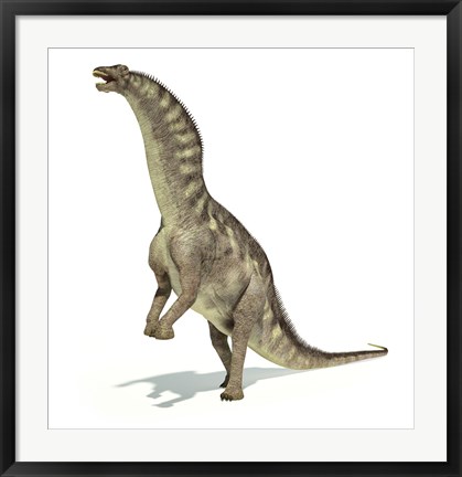 Framed Amargasaurus Dinosaur in Dynamic Posture Print