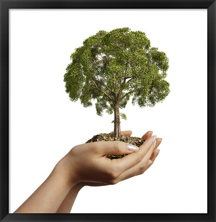 Framed Woman&#39;s Hands Holding Soil with a Tree Print