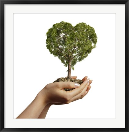 Framed Woman&#39;s Hands holding Soil with a Tree Heart Shaped Print