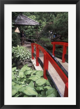 Framed Japanese Garden at Butchart Gardens, Vancouver Island, British Columbia, Canada Print