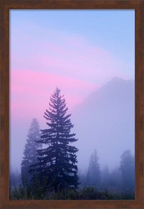 Framed Canada, British Columbia, Mount Robson Park Foggy sunrise Print