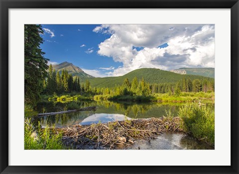 Framed Flathead River, British Columbia, Canada Print