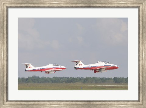 Framed Snowbirds 431 Print