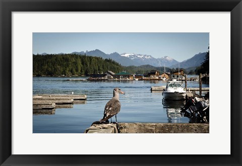 Framed British Columbia, Vancouver Island, Strathcona Park, Harbor Print