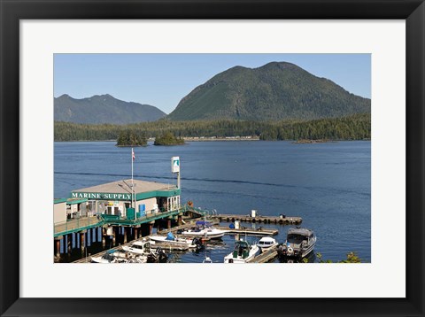 Framed Harbor, Meares Island, Vancouver Island, British Columbia Print