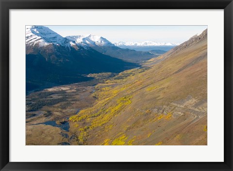 Framed Todagin South Slope Provincial Park, British Columbia Print