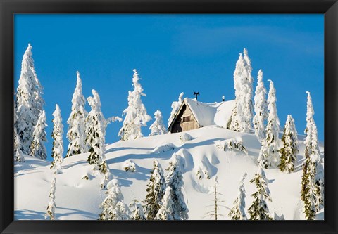 Framed Mountain cabin, Seymour Mountain, British Columbia Print