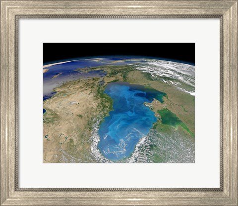 Framed Satellite view of Swirling Blue Phytoplankton Bloom in the Black Sea Print