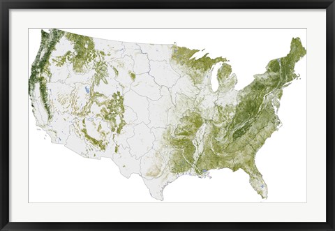 Framed Map of the United States Showing the Concentration of Biomass Print