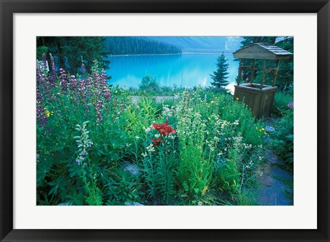 Framed Emerald Lake, Yoho National Park, British Columbia Print