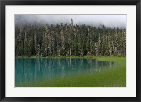 Framed Blue glacial lake, evergreen forest, British Columbia Print