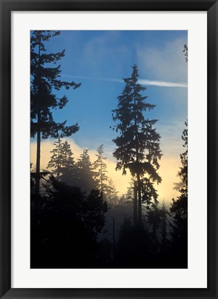 Framed Stanley Park, Vancouver, British Columbia, Canada Print