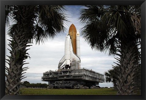 Framed Palmetto Trees Frame Space Shuttle Endeavour as it Rolls Toward the Launch Pad Print