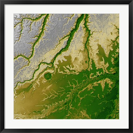 Framed Bolivian Amazon Print