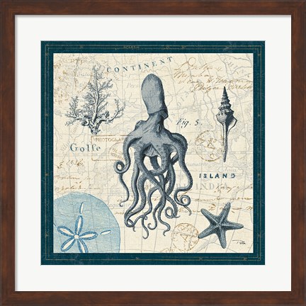 Framed Ocean Life VII Print