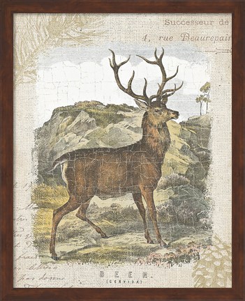 Framed Woodland Stag I Print