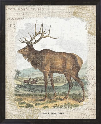 Framed Woodland Stag II Print