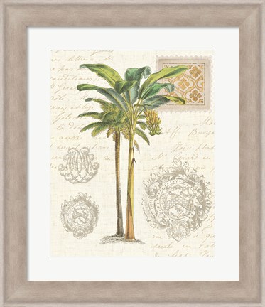 Framed Vintage Palm Study I Print