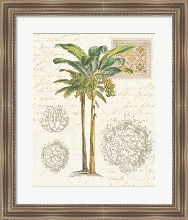 Framed Vintage Palm Study I Print