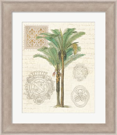 Framed Vintage Palm Study II Print