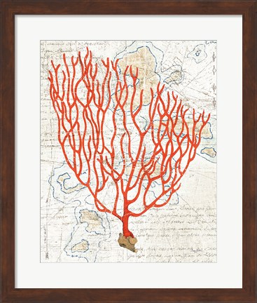 Framed Textured Coral IV Print