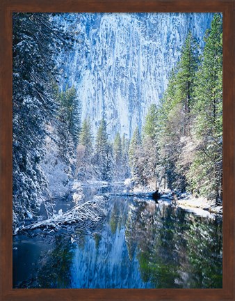 Framed Winter trees along Merced River, Yosemite Valley, Yosemite National Park, California Print