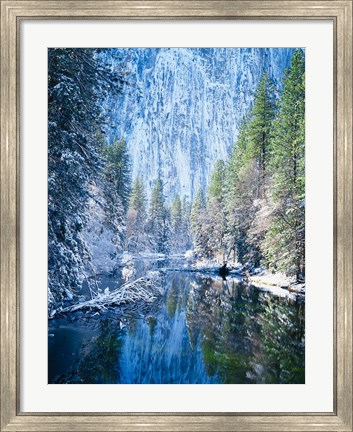 Framed Winter trees along Merced River, Yosemite Valley, Yosemite National Park, California Print