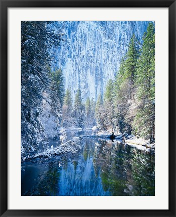 Framed Winter trees along Merced River, Yosemite Valley, Yosemite National Park, California Print