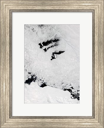 Framed Balleny Islands, near Antarctica Print