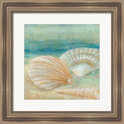 Framed Horizon Shells IV Print