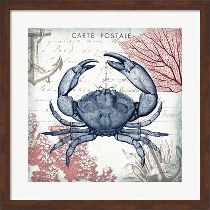 Framed Coastal Sea Life II Print