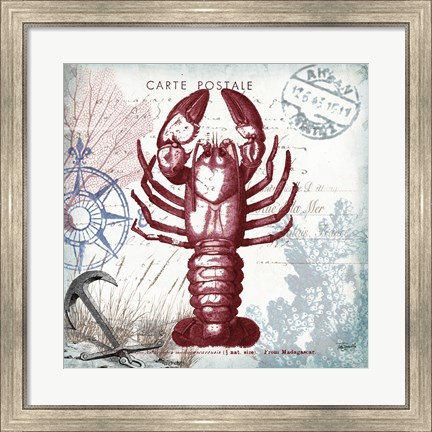 Framed Coastal Sea Life III Print