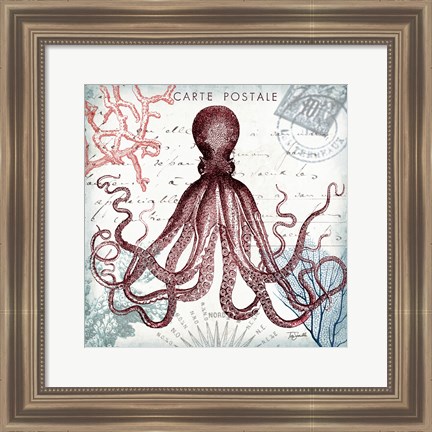 Framed Coastal Sea Life IV Print