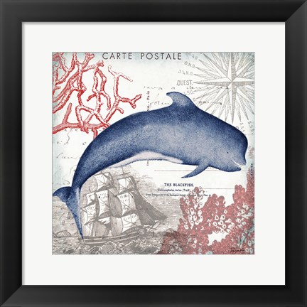 Framed Coastal Sea Life VI Print