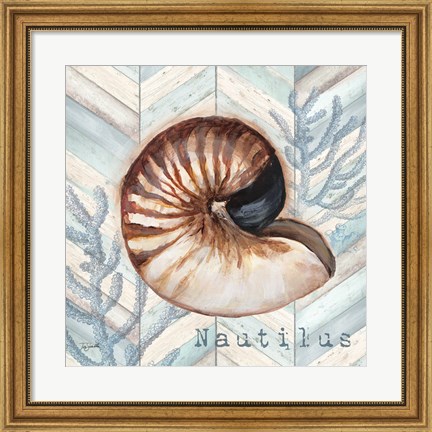 Framed Chevron Shell IV Print