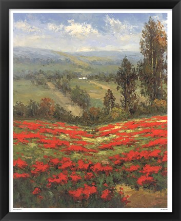 Framed Poppy Vista II Print