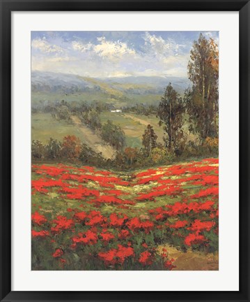 Framed Poppy Vista II Print