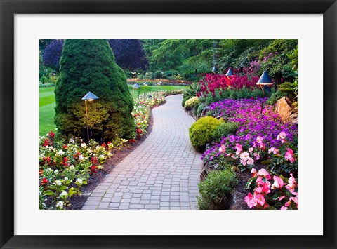 Framed Path and Flower Beds in Butchart Gardens, Victoria, British Columbia, Canada Print