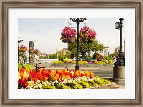 Framed Hanging Flower Baskets, Victoria, BC Print