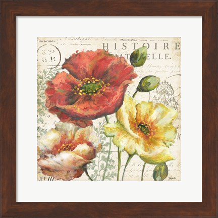 Framed Spice Poppies Histoire Naturelle I Print