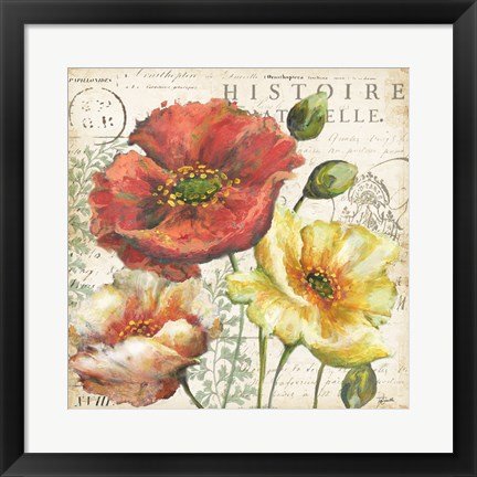 Framed Spice Poppies Histoire Naturelle I Print