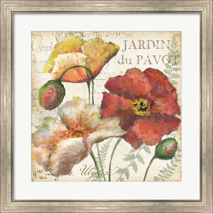 Framed Spice Poppies Histoire Naturelle II Print