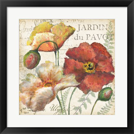 Framed Spice Poppies Histoire Naturelle II Print