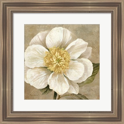 Framed Up Close Cream Rose Print